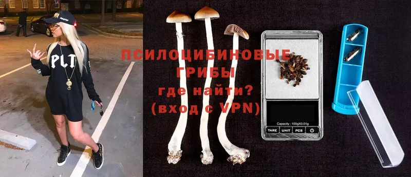 Псилоцибиновые грибы MAGIC MUSHROOMS  kraken как войти  Карабулак  где можно купить наркотик 